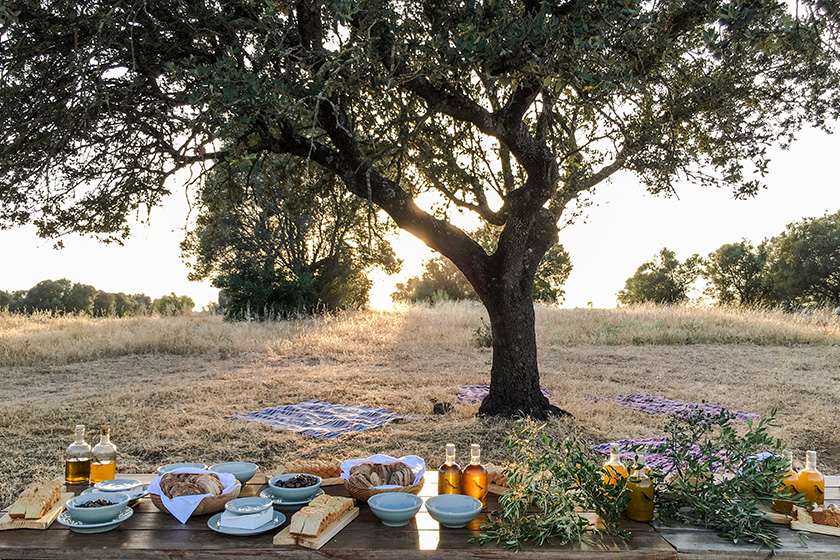 Olive oil table
