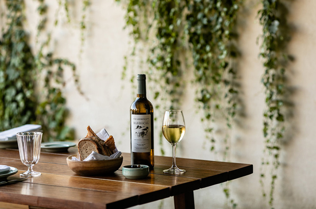 wine tasting at Barrocal