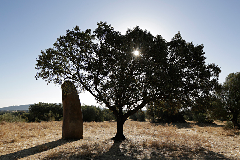 menhir