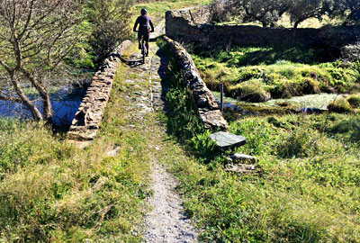 Mountain biking