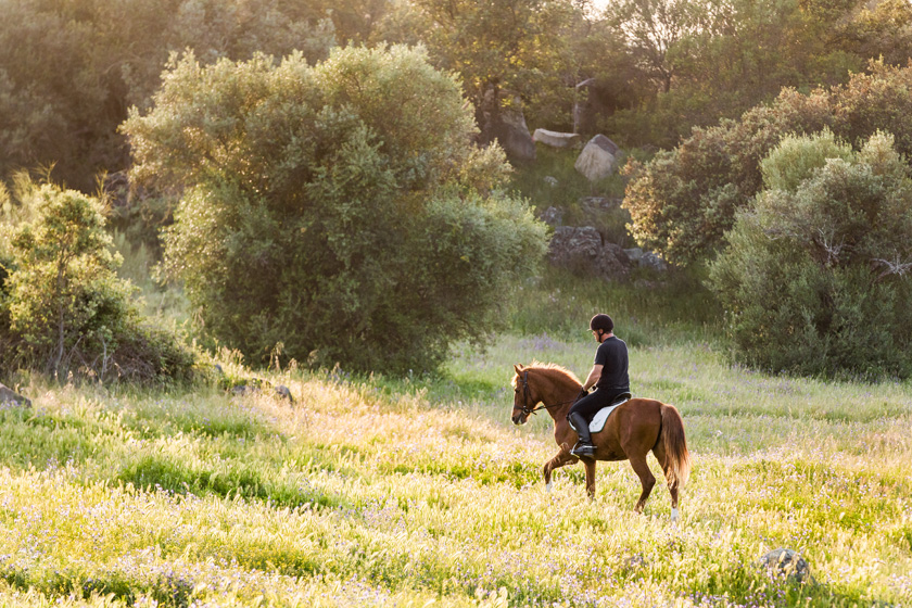 Riding the estate