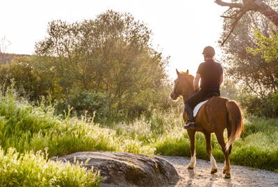 Horse riding