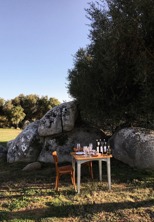 wine tasting