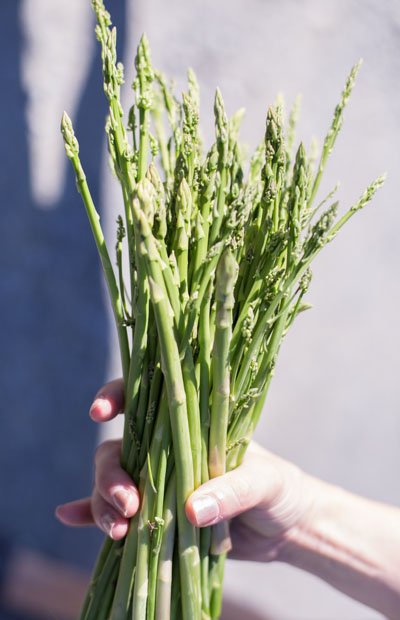 asparagus