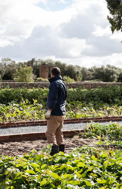 garden