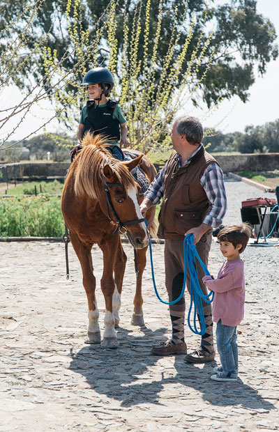 horses