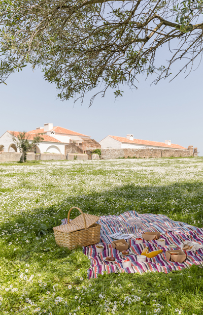 picnic blanket